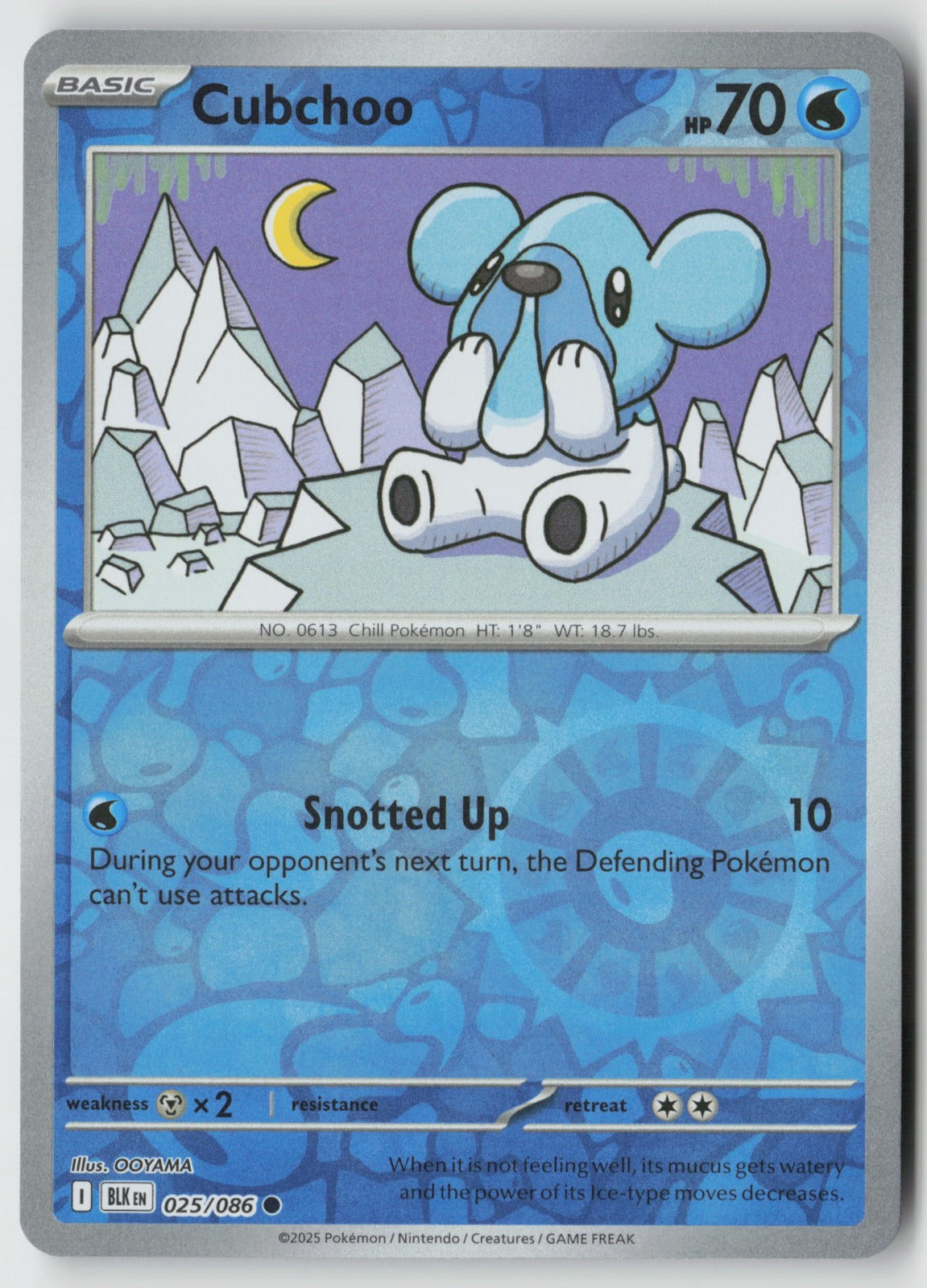 Cubchoo 025/086 SV: Black Bolt Common Reverse Holo NM OOYAMA