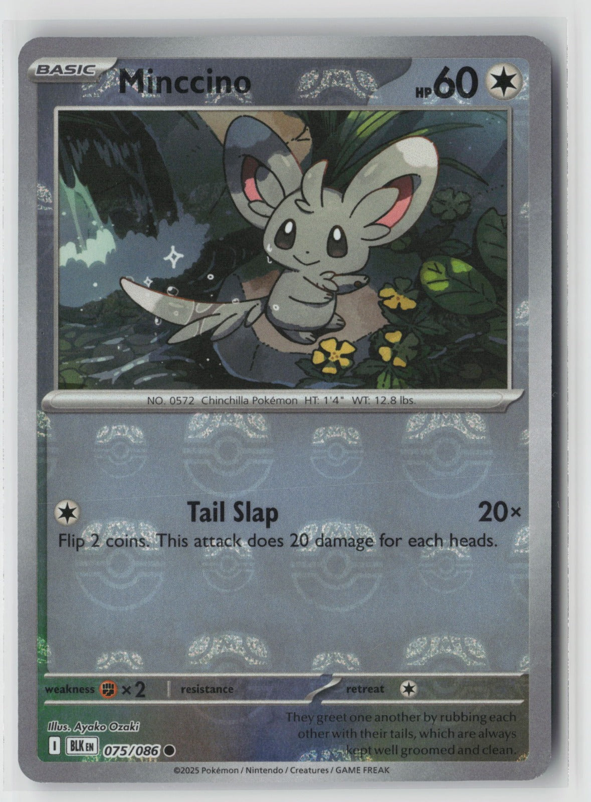 Minccino (Master Ball Pattern) 075/086 SV: Black Bolt Common Holo NM Ayako Ozaki