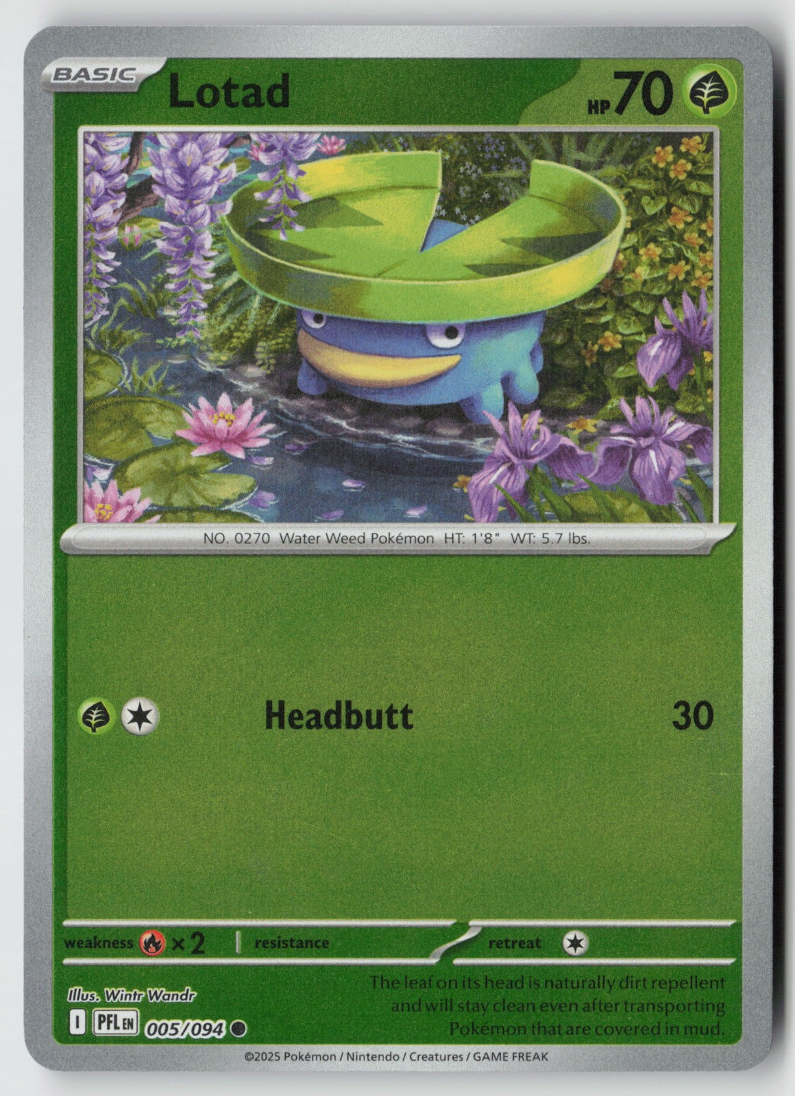 Lotad 005/094 ME02: Phantasmal Flames Common Reverse Holo NM Wintr Wandr