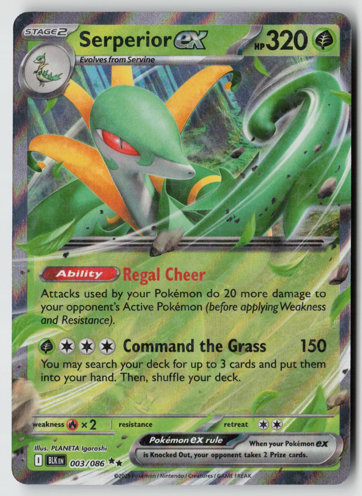 Serperior ex 003/086 SV: Black Bolt Double Rare Holo NM PLANETA Igarashi