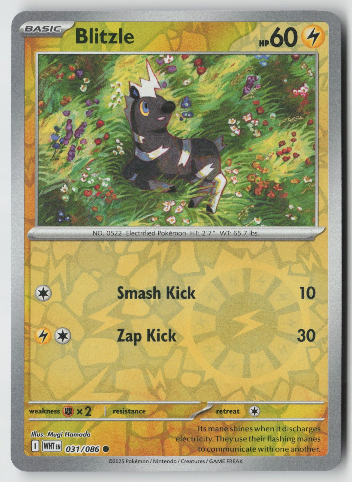 Blitzle 031/086 SV: White Flare Common Reverse Holo NM Mugi Hamada