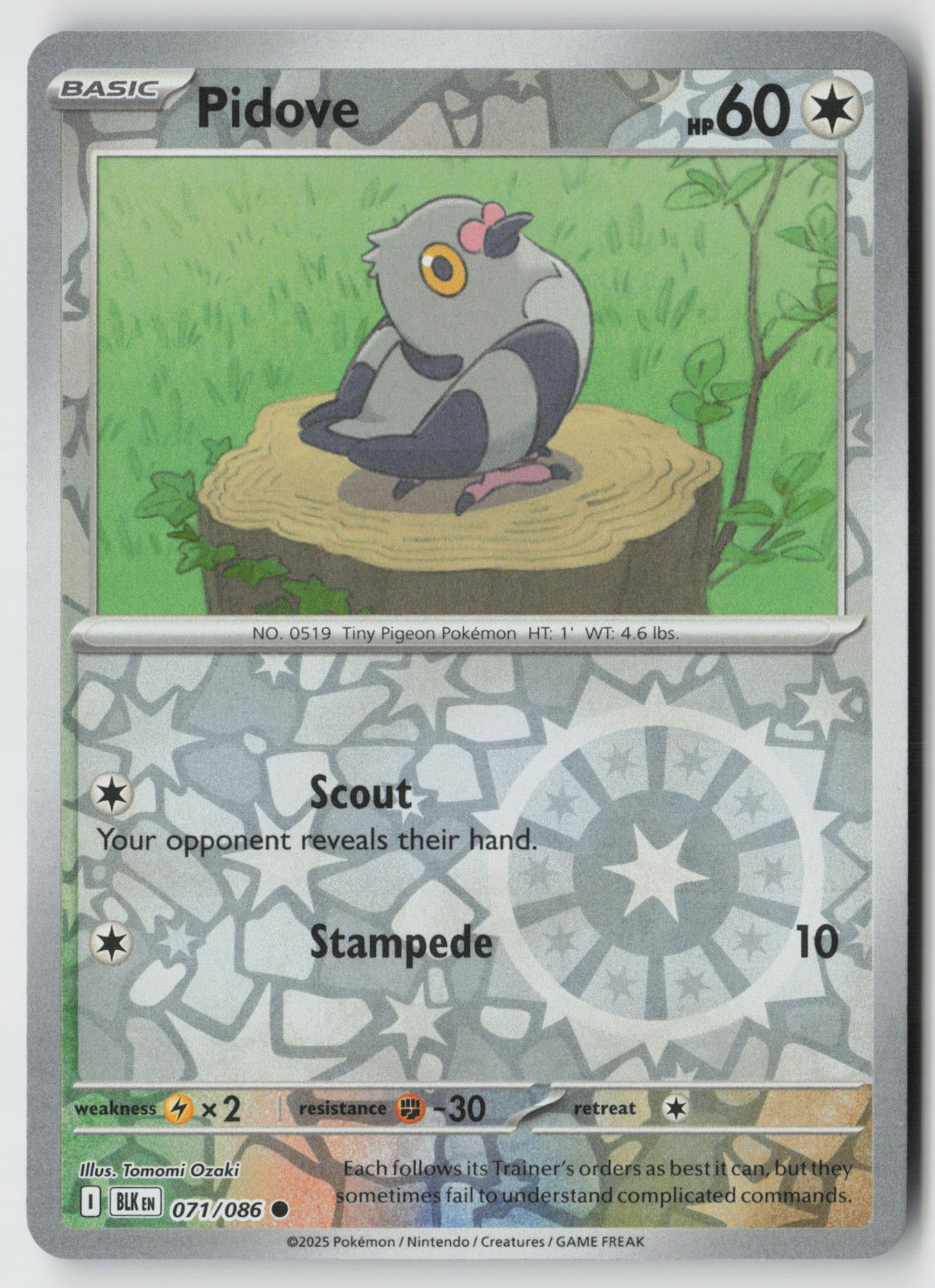 Pidove 071/086 SV: Black Bolt Common Reverse Holo NM Tomomi Ozaki