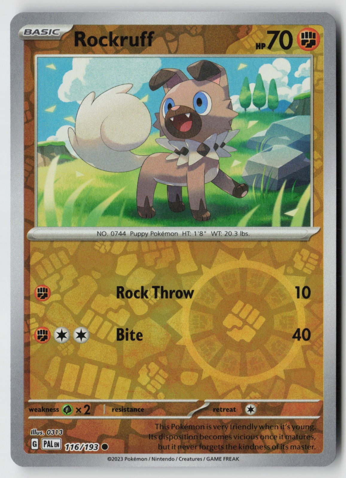 Rockruff 116/193 SV02: Paldea Evolved Common Reverse Holo NM 0313