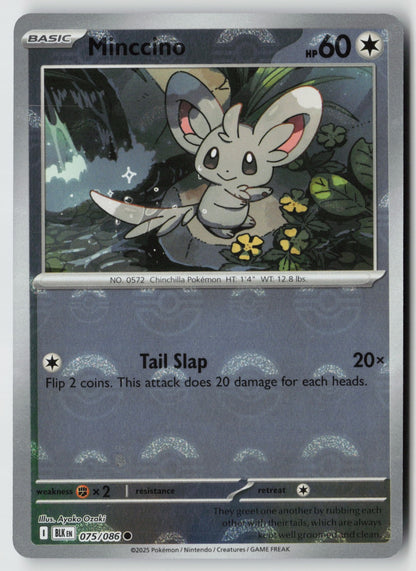 Minccino (Poke Ball Pattern) 075/086 SV: Black Bolt Common Holo NM Ayako Ozaki