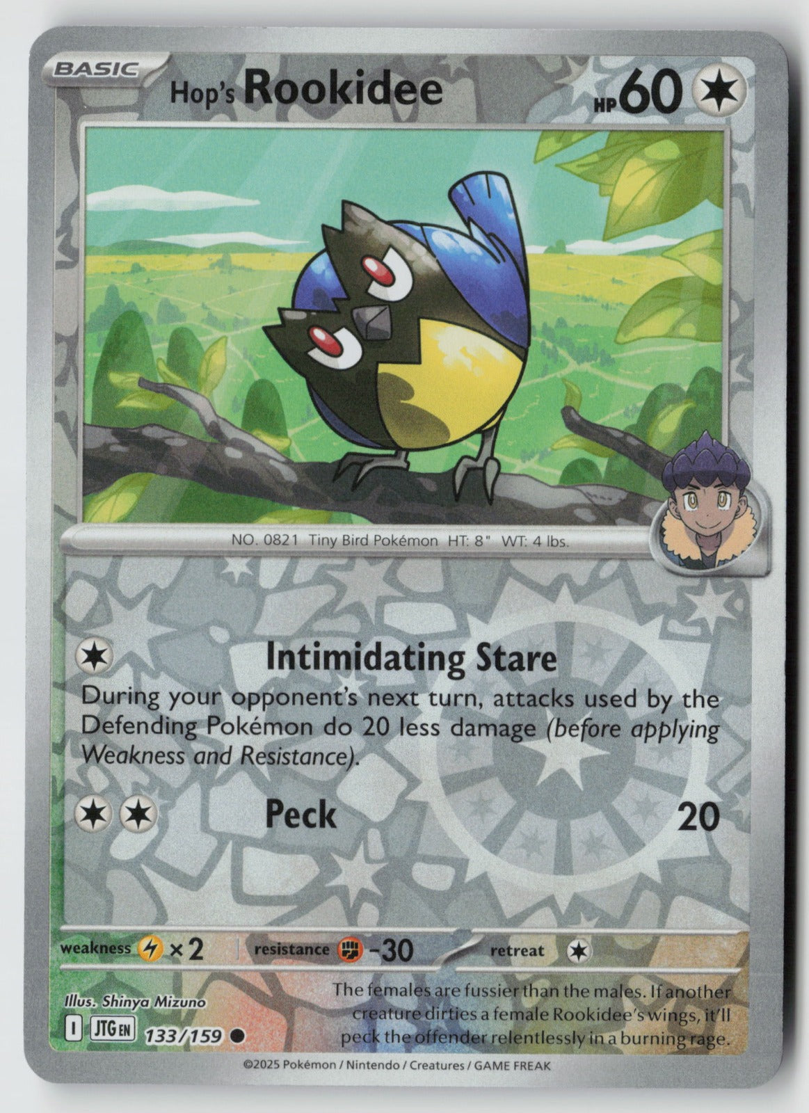 Hop's Rookidee 133/159 SV09: Journey Together Common Reverse Holo NM